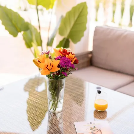 Enchanting Portocervo אדחה